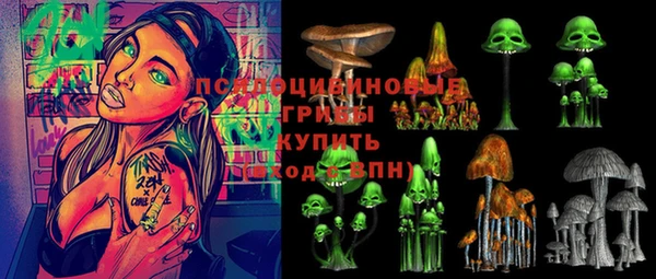 2c-b Бронницы