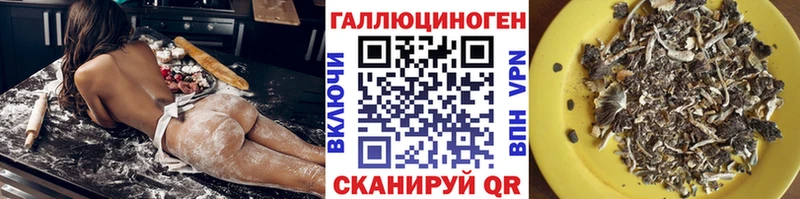 mega как войти  Белгород  Псилоцибиновые грибы Cubensis 